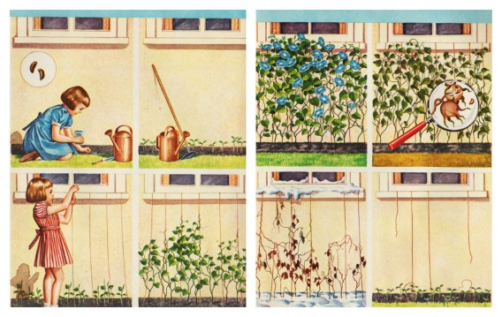 vintage illustration childrens school book 1940s