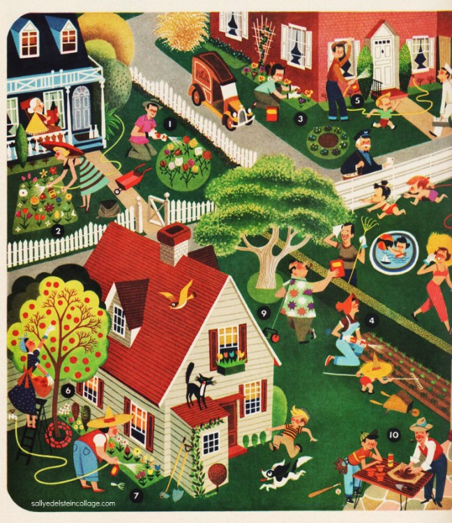 suburbia garden illustration 