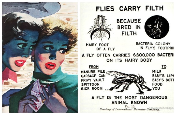 fear of flies 