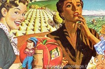 collage of appropriated 1950s vintage llustrations