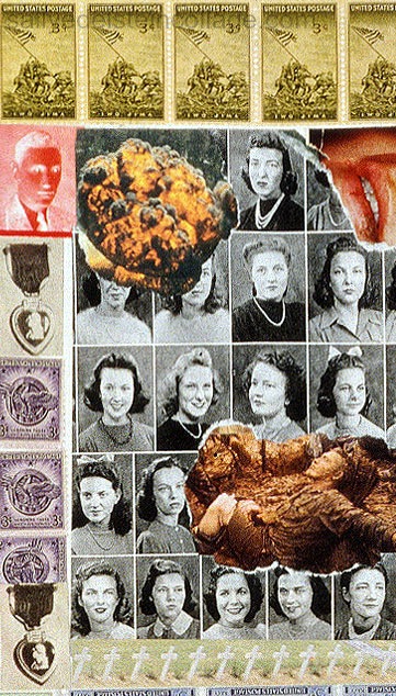 Shellshockawestampsallyedelsteincollage.com