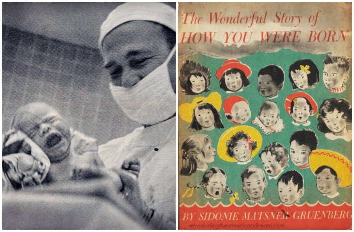 How You Were Born Babies Birth How You Were Born book