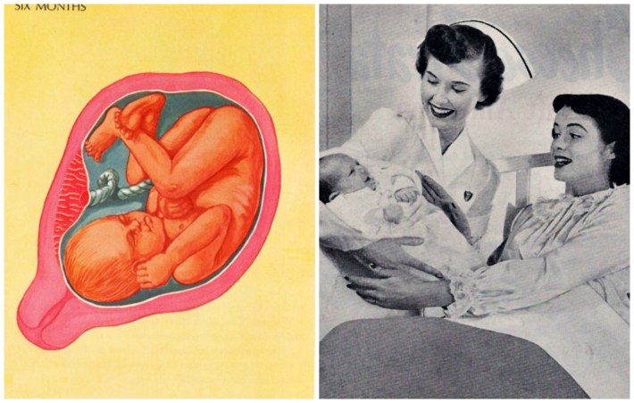 A Womb with a View baby womb birth