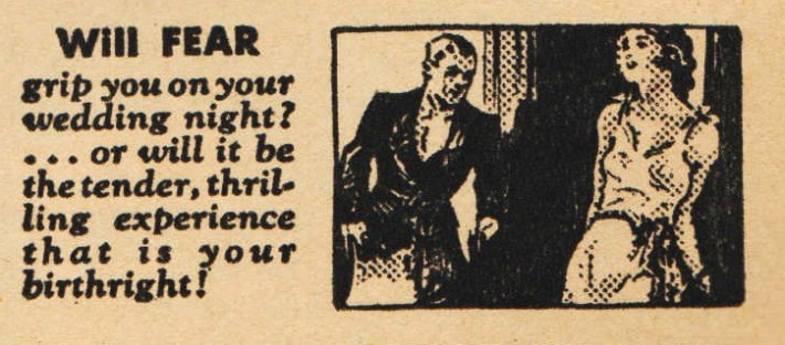 vintage illustration Sex manual couple