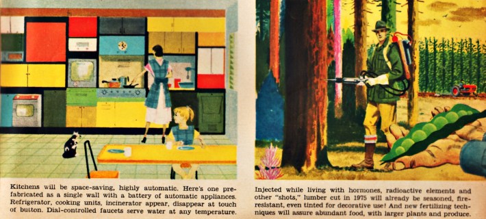 vintage illustrations future homes and forests