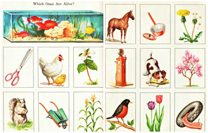 vintage illustrations schoolbook mother nature