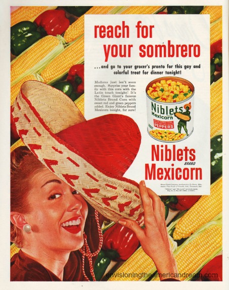 illustration 1950s housewife in sombrero