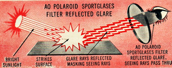 sunglasses american optical polaroid