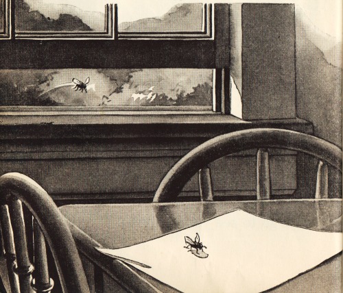vintage schoolbook illustration flies 