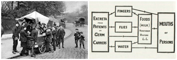 vintage photo street vendor NYC and path of germs 