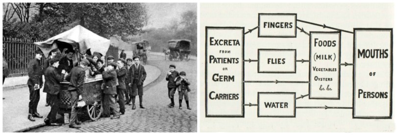health polio germs spreading 1916