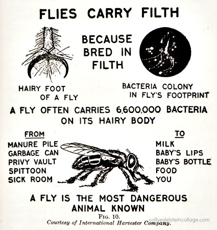 vintage warning dangers of flies as transmittors of disease