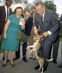 LBJ Lifts His Beagle By the Ears 1964