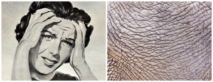 Ageing anxiety wrinkle elephant skinskin
