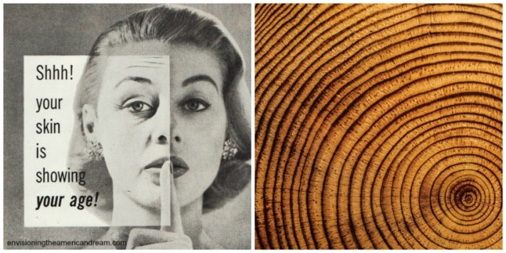 Aging Wrinkles and age rings of a tree