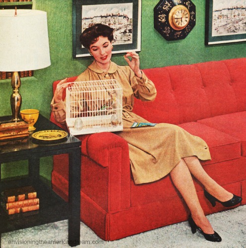 vintage photo 1950s housewife and birdcage