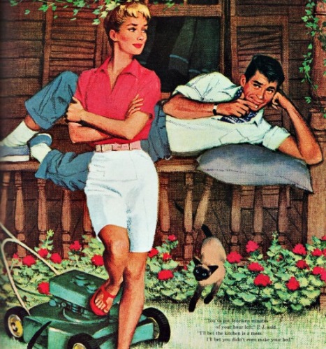 Vintage Illustration woman and man and Lawn Mower