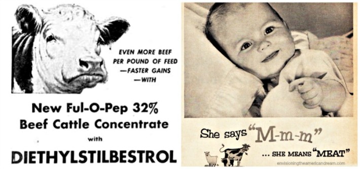 collage vintage ad for DES picture of cattle and vintage picture of baby in meat ad