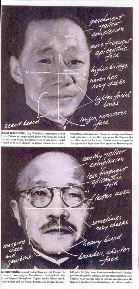 Photos How to Tell a Jap From Chinese 1941