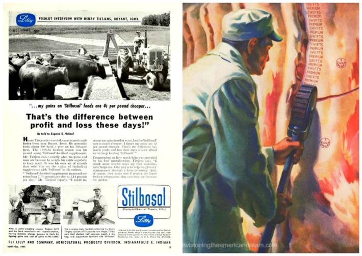 collage vintage ad DES Stilbosol and USDA stamp on meat