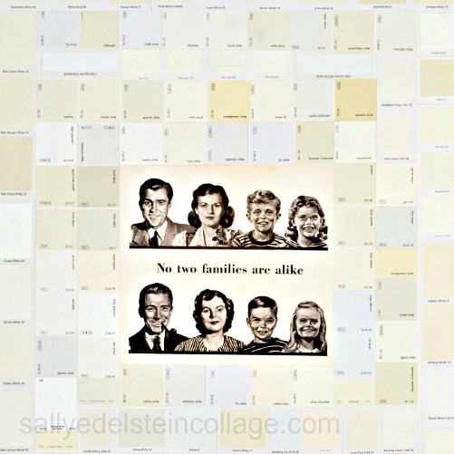 Collage Sally Edelstein american-diversity-whitewash