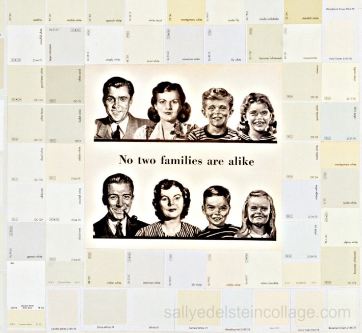 collage-art-american-diversity-whitewash