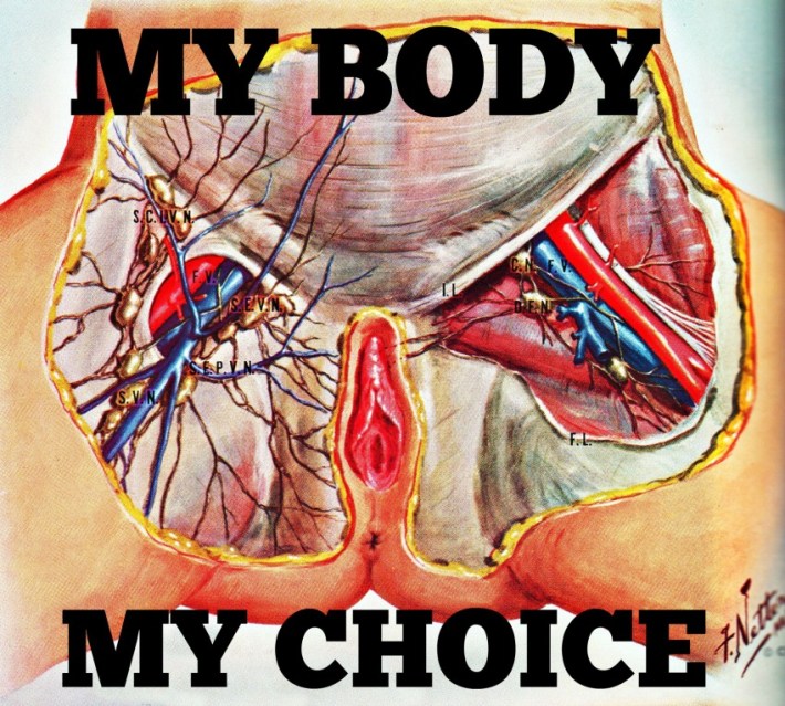 anatomy-female-my-body-my-choice-swscan06918-copy