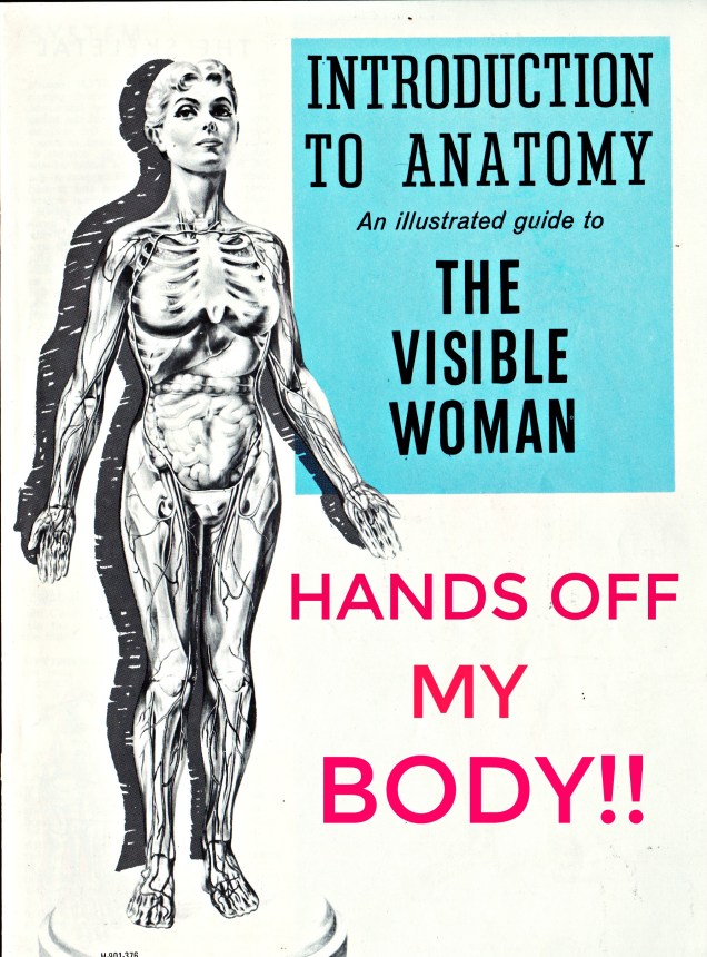 womens march poster Hands off My Body