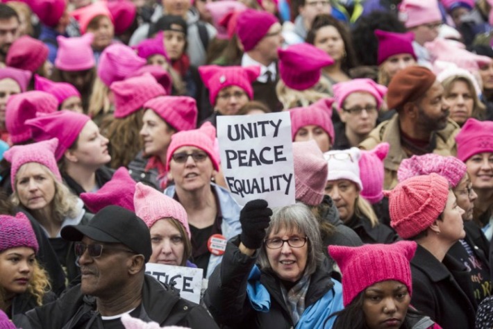 womens-march-privilege-pink hats signs