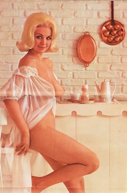 Vintage Playboy Centerfold August 1962 Jan Roberts