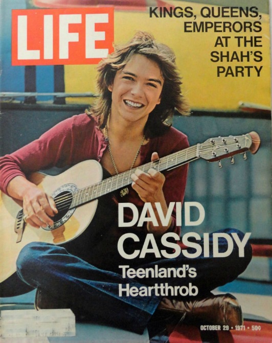 Life Magazine David Cassidy Cover Teenlands Heartthrob 1971 Life Magazine David Cassidy Cover Teenlands Heartthrob 1971