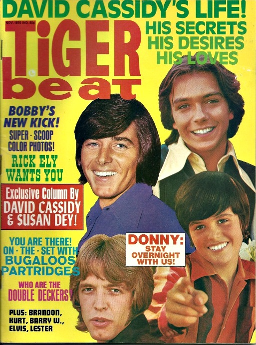 Tiger Beat Teen Magazine 1070s David Cassidy