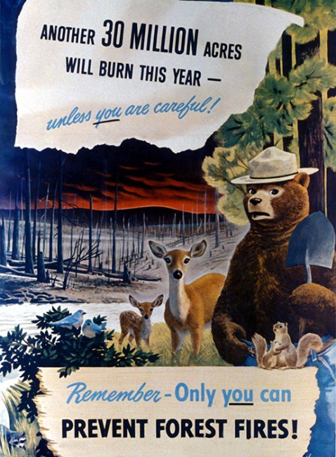 Vintage Smokey Bear Poster 1949