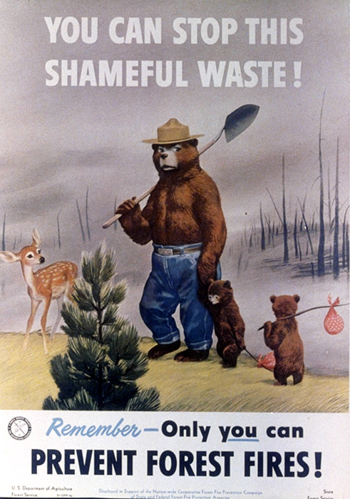 Vintage Smokey Bear Poster 1950s