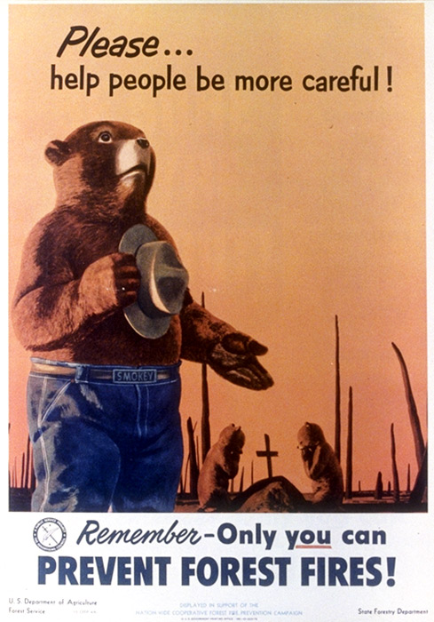 Vintage Smokey Bear Poster 1953
