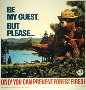 Only You Can Prevent Forest Fires | Envisioning The American Dream