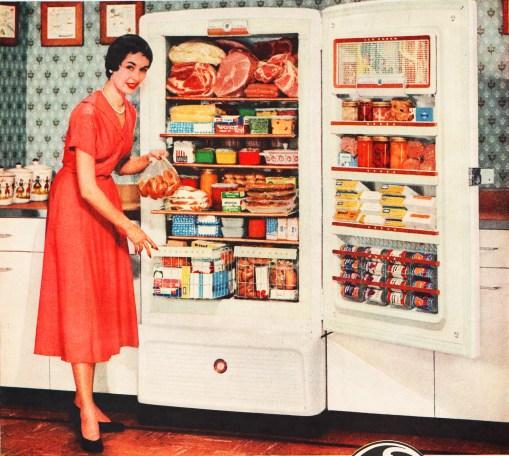 Kitchen refrigerator 