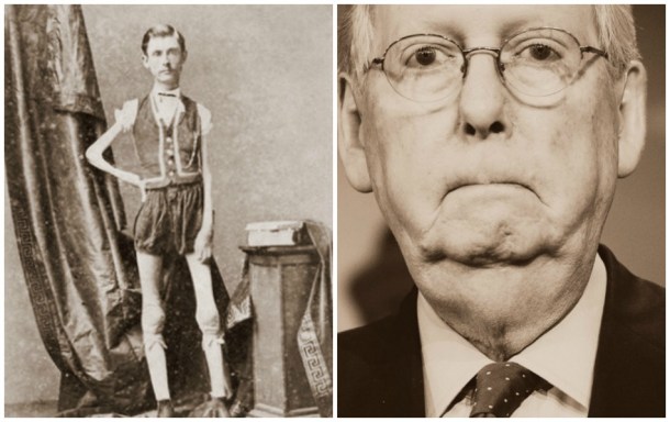 The Human Skeleton and Mitch McConnell 