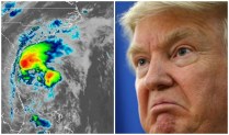 Turmp Storm