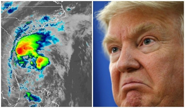 Turmp Storm