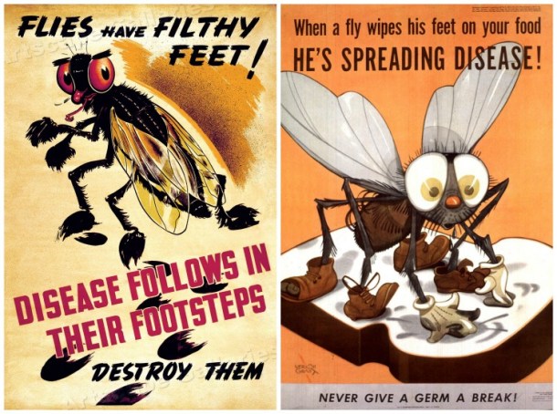 anti fly posters 