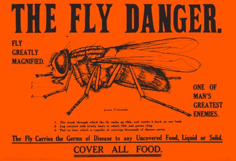 Fly Danger poster