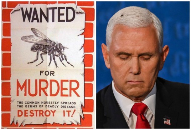 Mike Pence and Anti Fly poster