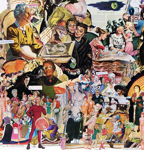 collage art Sally Edelstein