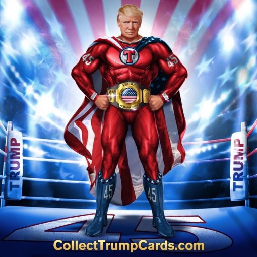 Trump NFT Card